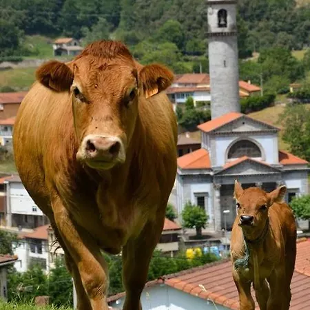 Dom wakacyjny Adosado Con Piscina En El Valle De Ason La Tudanca