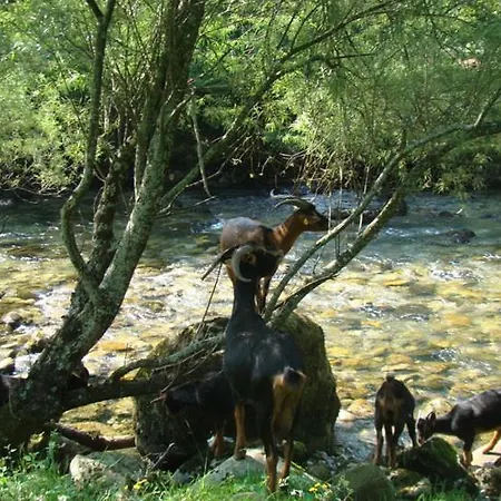 Adosado Con Piscina En El Valle De Ason La Tudanca Dom wakacyjny
