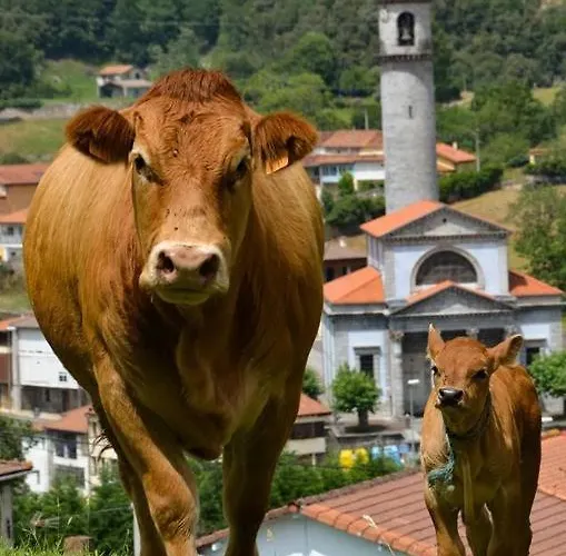 Holiday home Adosado Con Piscina En El Valle De Ason La Tudanca