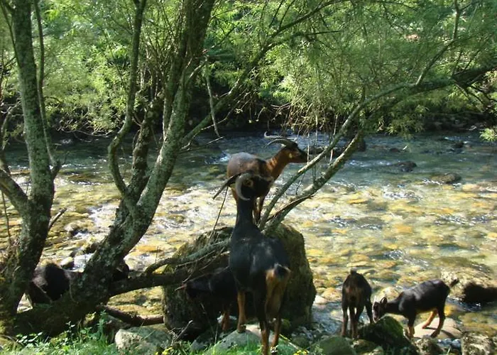 Adosado Con Piscina En El Valle De Ason La Tudanca Holiday home