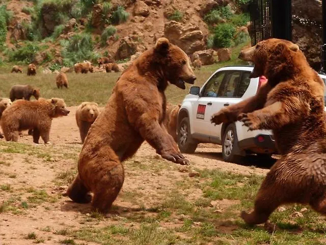 Adosado Con Piscina En El Valle De Ason La Tudanca * Arredondo